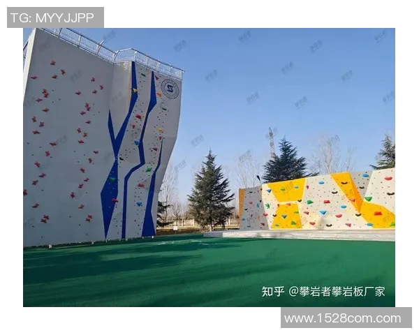 重庆攀岩队战术解析与训练策略探讨助力攀岩竞技水平提升