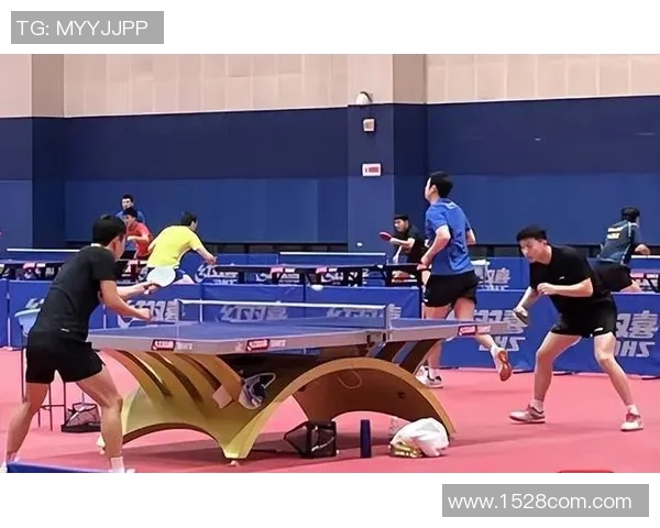 北京乒乓球队耐力对比深度解析与训练方法探讨
